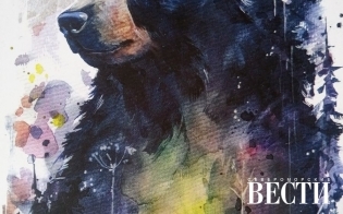 ���������, ���������! 