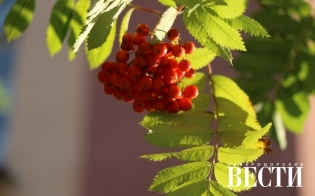 ������� ������ �� 21 ��������