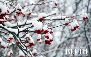 ������� ������ �� 23 ������� 