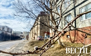 ������� ������ �� 26 ������