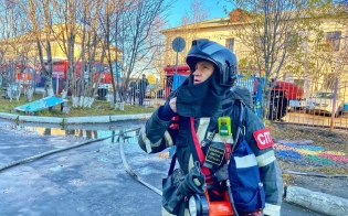 ����������� � ������� ���� �������� ����������� 