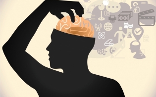 �������� 22 ���� ���������� ��������� ���� �����