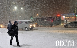 ������� ������ �� 23 �����