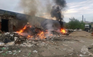 ������ �01� ��������