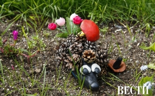 ������� ������ �� 29 ���