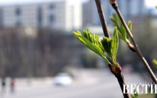 ������������ ������� �� ������ ������!