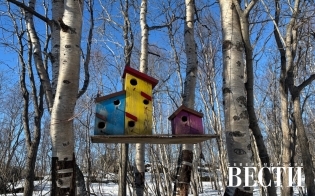 ������� ������ �� 14 ������ 