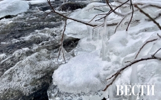 ������� ������ �� 6 �������