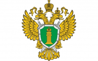 ��� ������, ���� �� ����� ������� ������������?