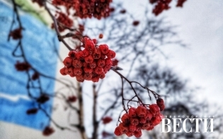 ������� ������ �� 3 �����