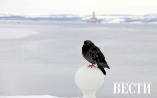 ������� ������ �� 1 �����