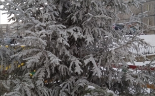 ������� �������� �� �������