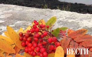 "������� �����" ������������