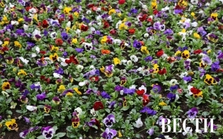 ������� ������ �� 3 ����