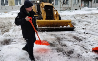 ������ ������������