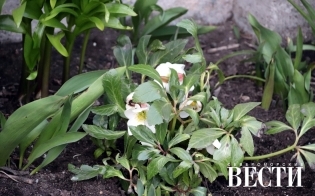 ���� ������ �����?