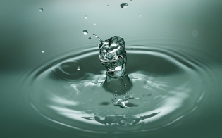 ��� ������� ����