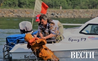 ������������ ��������������