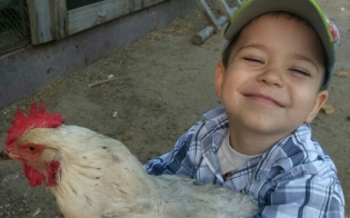 ��� �������