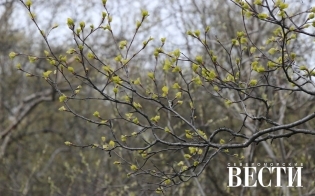 ������� ������ �� 31 ���