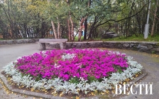 ������� ������ �� 28 �������