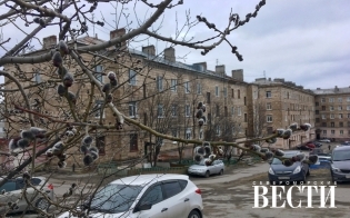 ������� ������ �� 29 �������