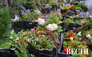 ������� ������ � ������!