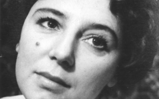 ������ ����