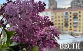 ������� ������ �� 29 ������