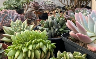 ��������� ��� �������� ������