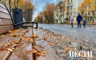 ������� ������ �� 30 �������