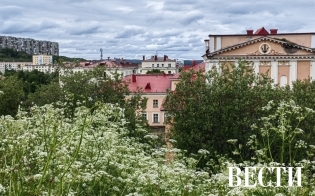 ������� ������ �� 11 ����