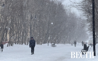 ������� ������ �� 7 �����