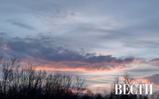 ������� ������ �� 21 �����