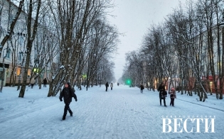 ������� ������ �� 7 �������