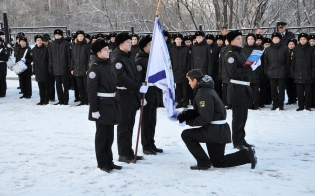 ����������