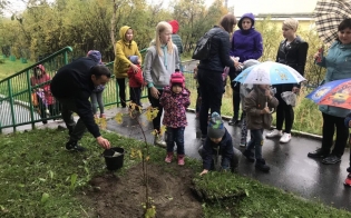 ����� ������������