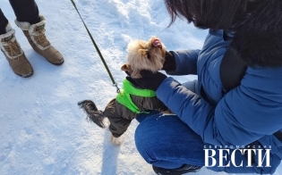 ������� ������ �� 6 �����