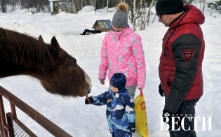 ������ ���������� � ��������