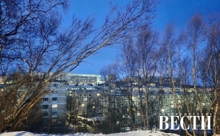 ������� ������ �� 12 �������