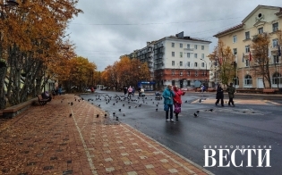 ������� ������ �� 10 �������