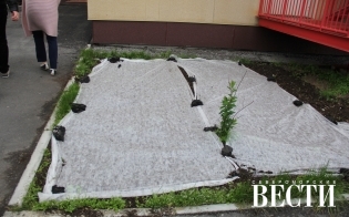 �� ��������