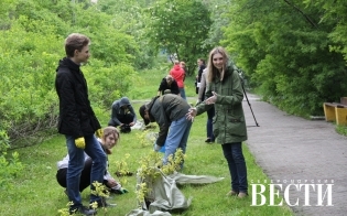 � ������ ������ ������ �������...