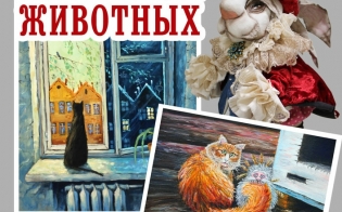 �������� �������� �� ���� ���������