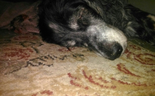 ���� ���� ����� ������ ���