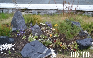 ������� ������ �� 22 ����