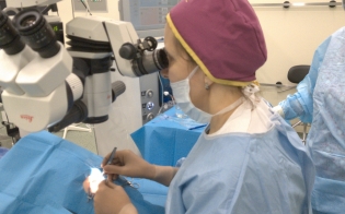 �������� �� ��������� �������� ������ ��������� � ����