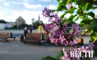 ������� ������ �� 9 ����