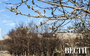 ������� ������ �� 18 ���