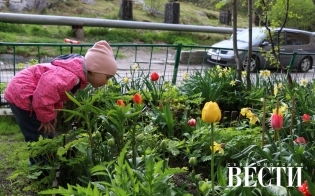 �������� ���������� ����